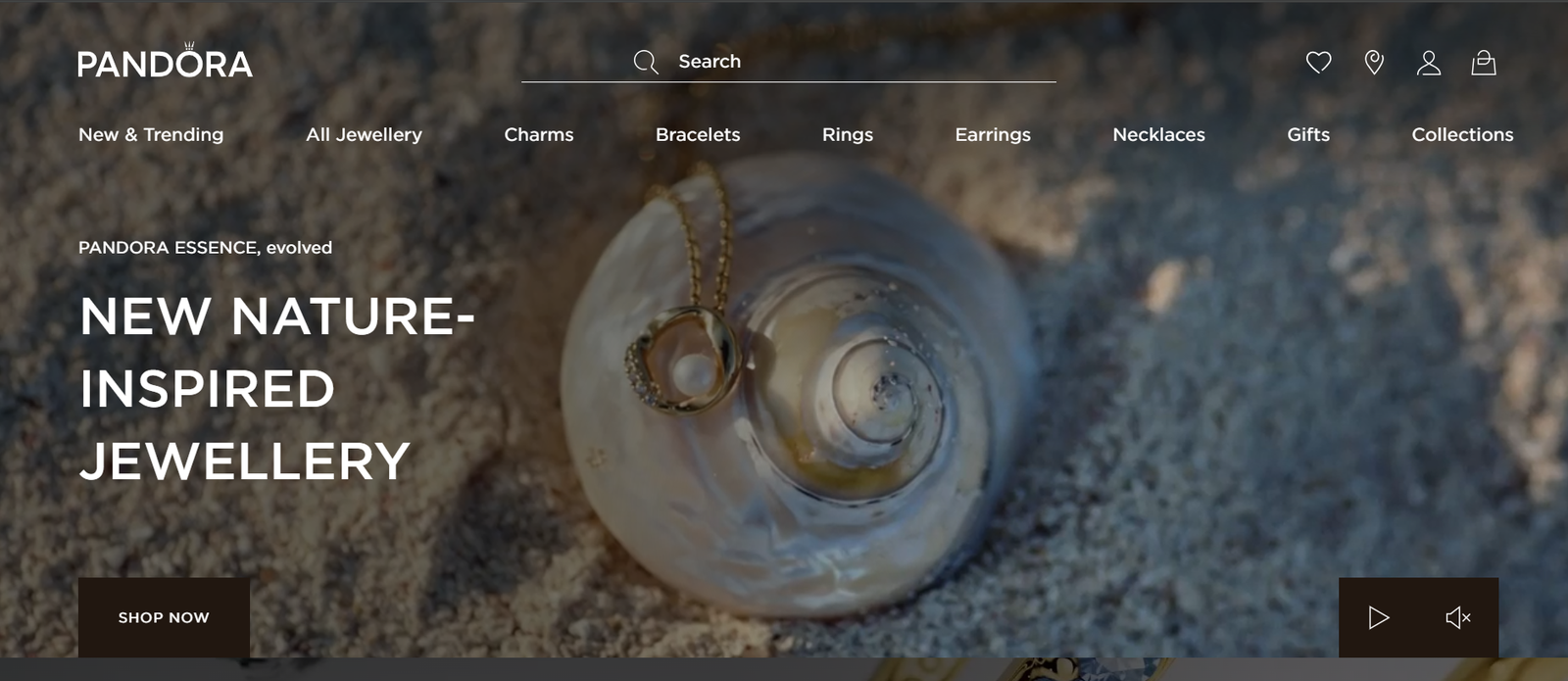Pandora IE homepage